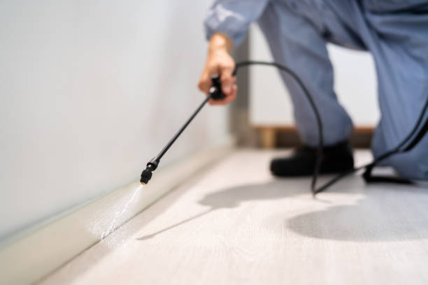 Licensed Pest Control service in Hinton, OK - Show Me Pest Control