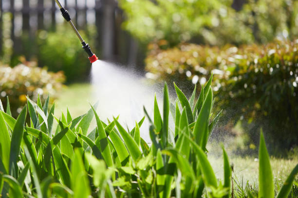 Tamper-Resistant Bait Stations for Rodents in Hinton