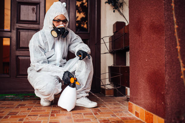 Attic and Crawl Space Rodent Treatment in Hinton